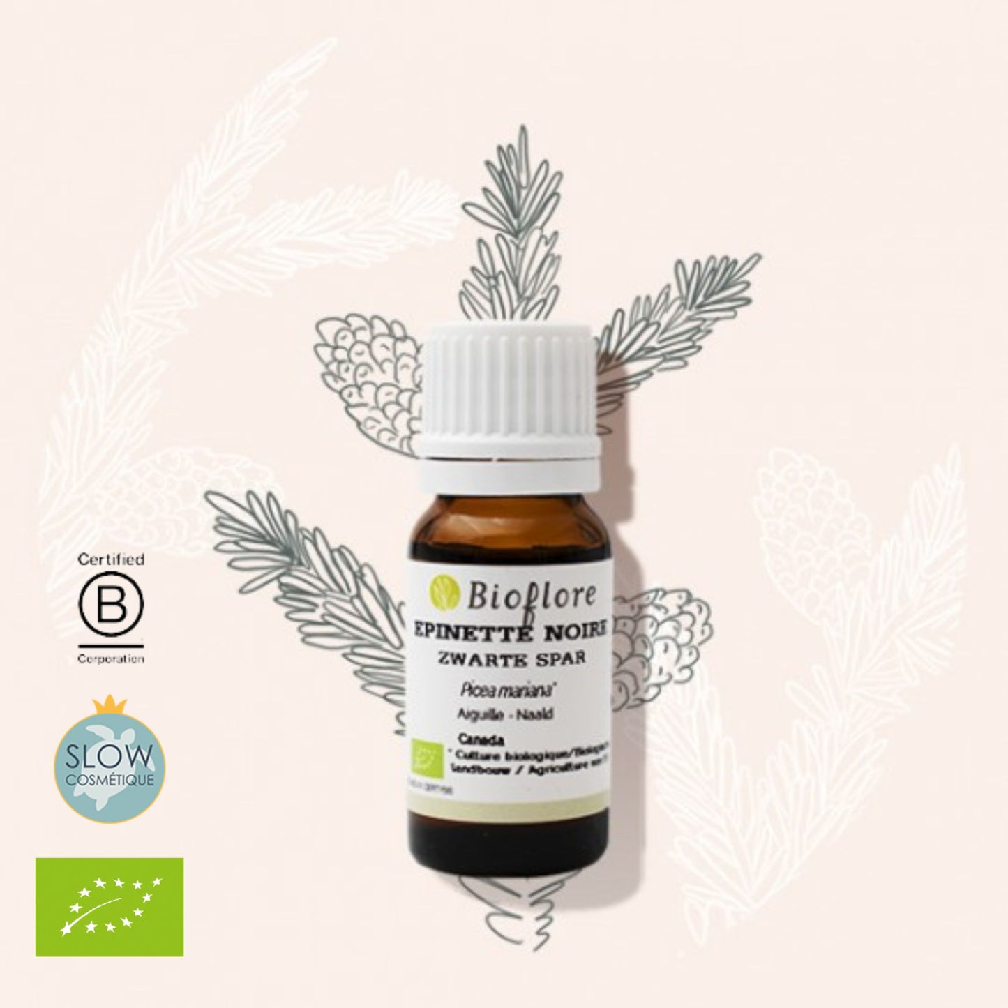 Main constituents: Terpenes: camphene (20%), pinenes (17%) Esters: bornyl acetate (29%)