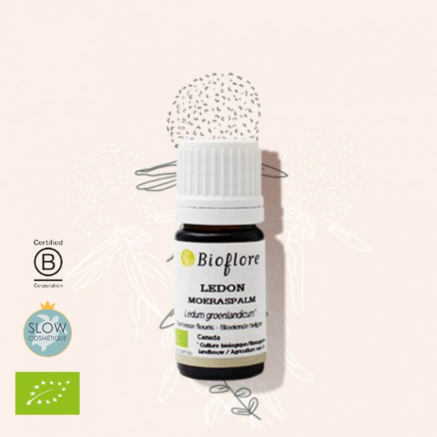 Bioflore 有機格陵蘭喇叭茶精油 Labrador Tea 2.5ml