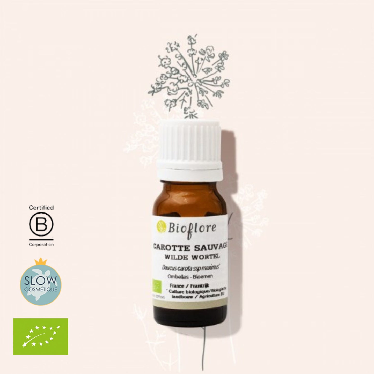 Bioflore 有機野生胡蘿蔔籽精油 Carrot Seed (Wild) 5ml