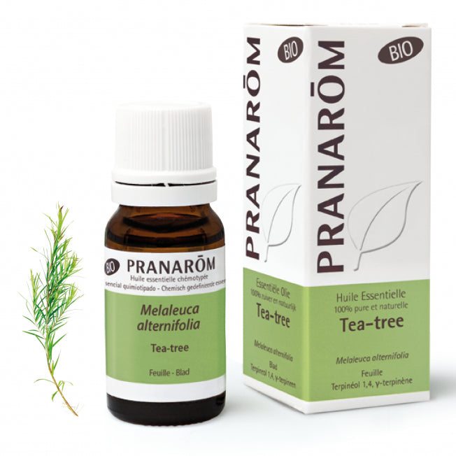 Tea Tree BIO 有機茶樹精油 10ml