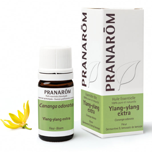 特級依蘭精油 Pranarom Ylang Ylang Extra  Essential Oil