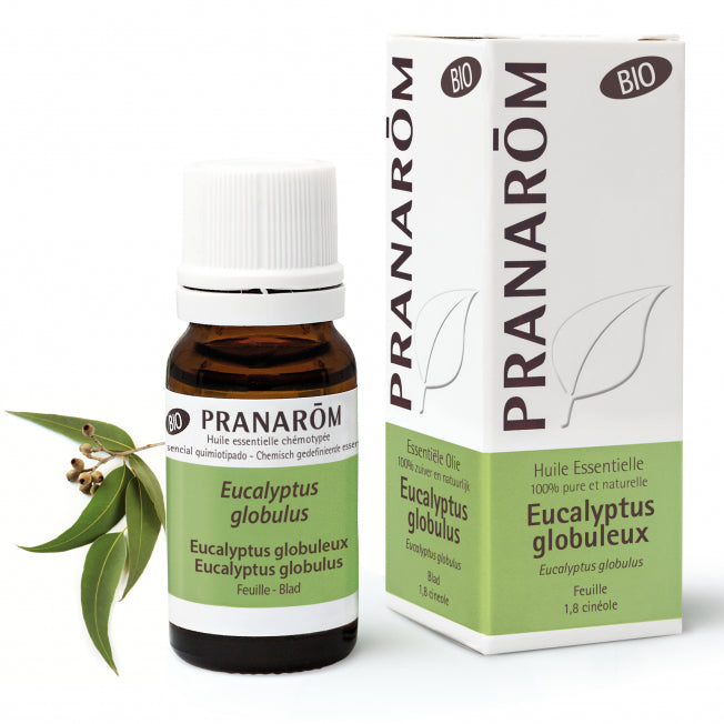 有機藍膠尤加利精油 Pranarom Eucalyptus Globulus Essential Oil