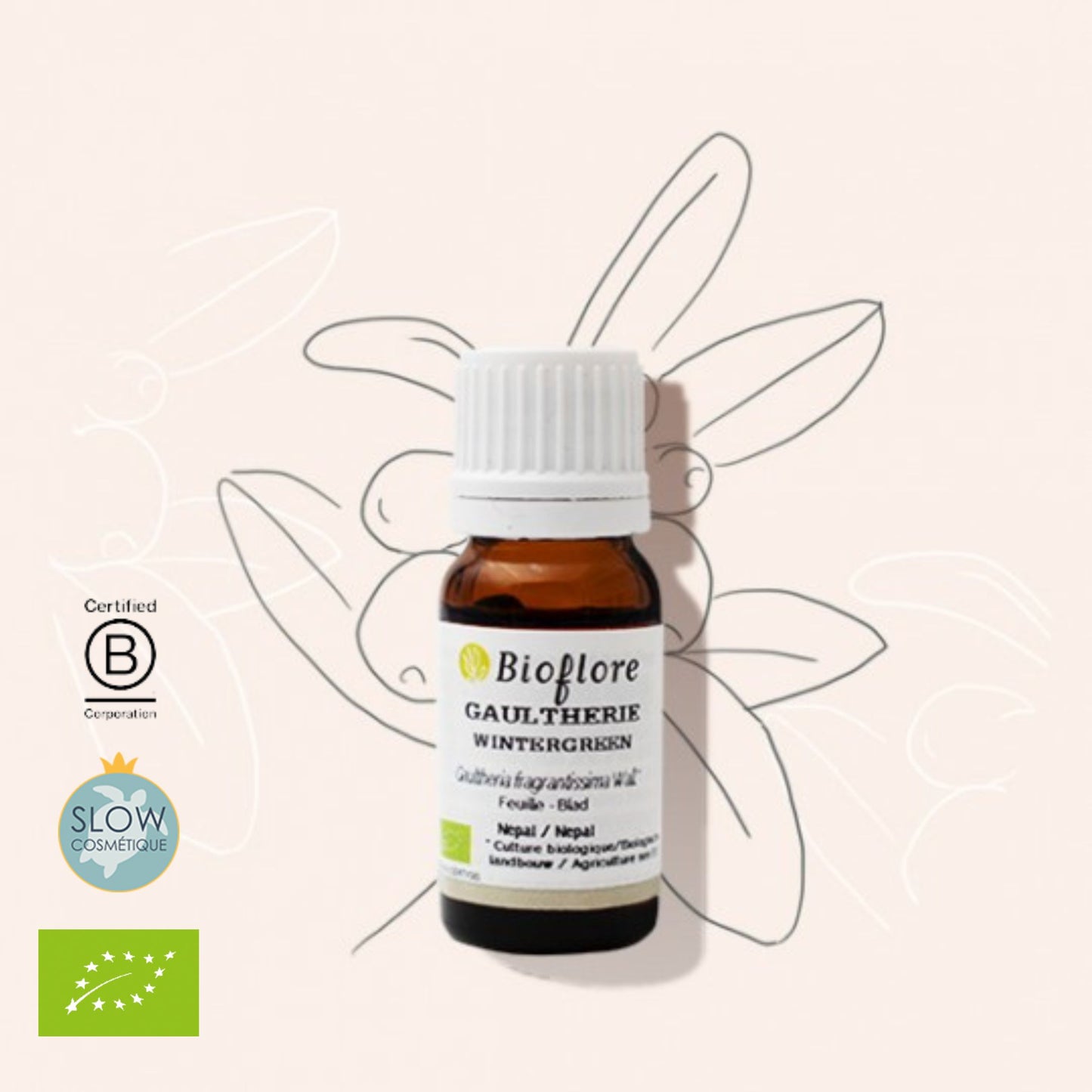 Bioflore 有機冬青 (芳香白珠)精油 Wintergreen 10ml